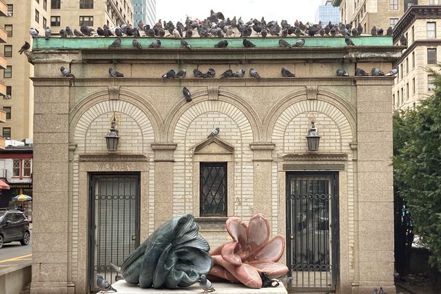 A photo of pigeons hanging out at the West 96th Street subway station